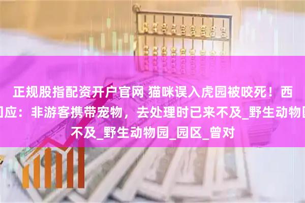 正规股指配资开户官网 猫咪误入虎园被咬死！西宁一动物园回应：非游客携带宠物，去处理时已来不及_野生动物园_园区_曾对