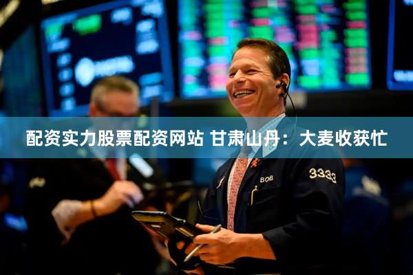 配资实力股票配资网站 甘肃山丹：大麦收获忙